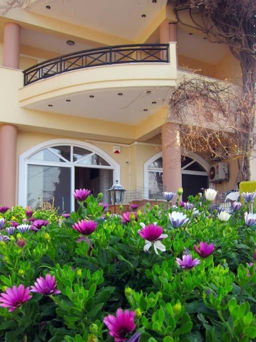 Lenico Beachfront Suites Agia Pelagia  Bagian luar foto