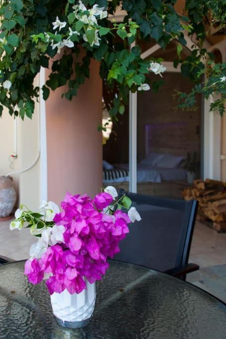 Lenico Beachfront Suites Agia Pelagia  Bagian luar foto
