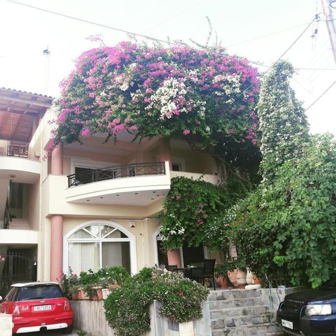 Lenico Beachfront Suites Agia Pelagia  Bagian luar foto