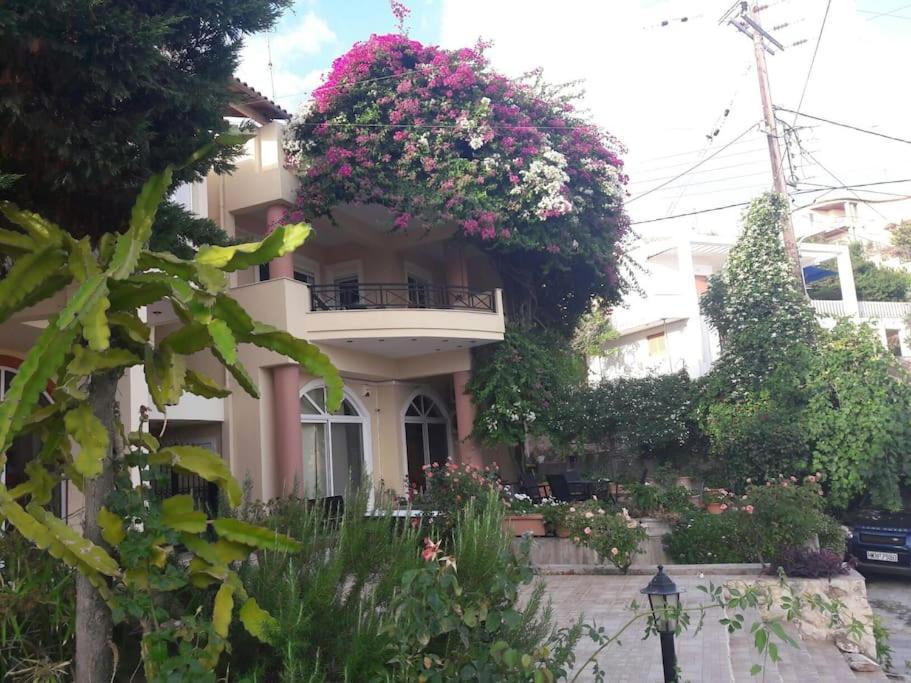 Lenico Beachfront Suites Agia Pelagia  Bagian luar foto